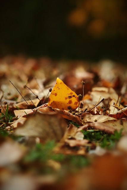 关键在于 关键在于