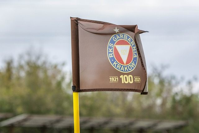 周琦以一记 周琦以一记