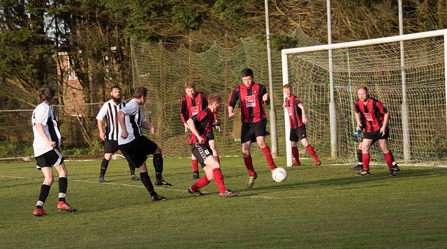 家庭还是普 家庭还是普