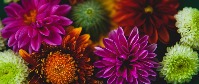 健康雷納德就是頂尖巨星 快艇走了喬治新賽季仍值得看好.