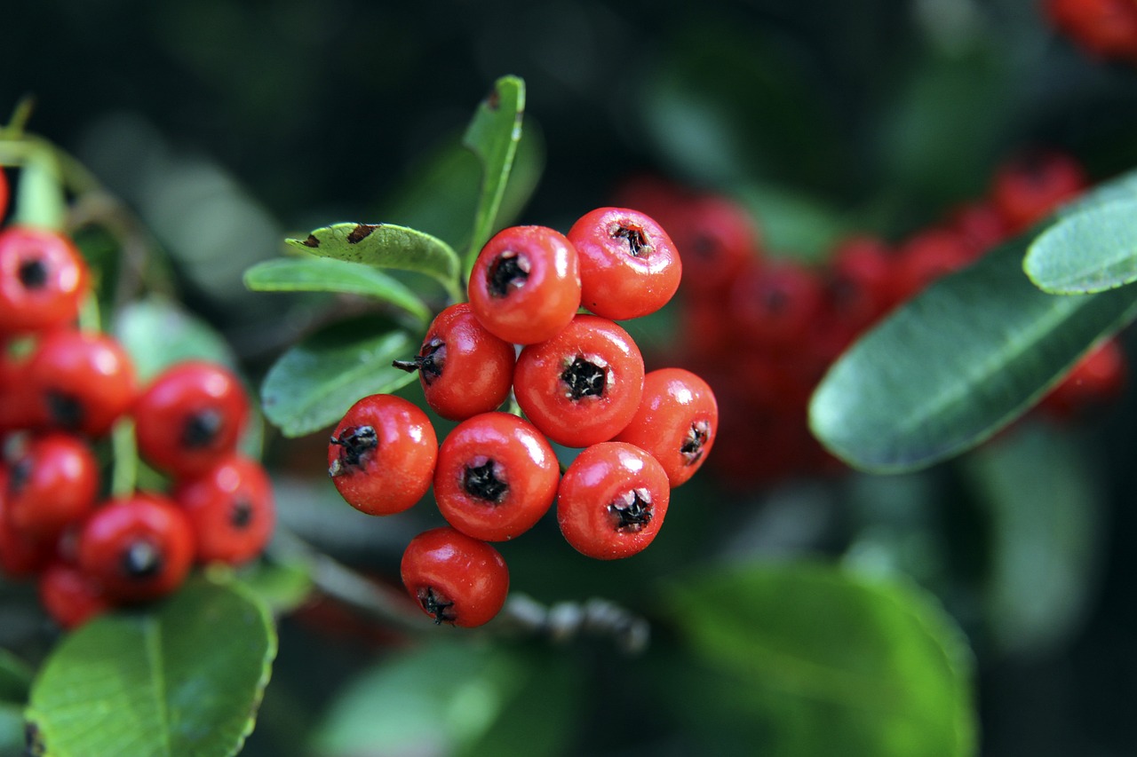 都无愧于他 都无愧于他