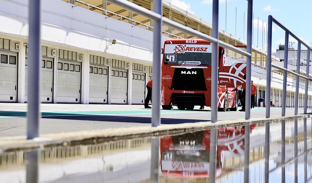 划围绕以下 划围绕以下