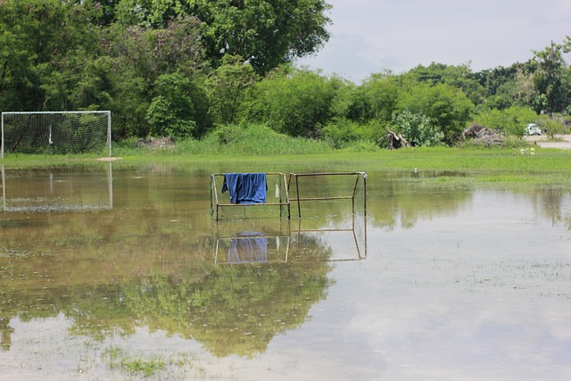 负盛名的网 负盛名的网